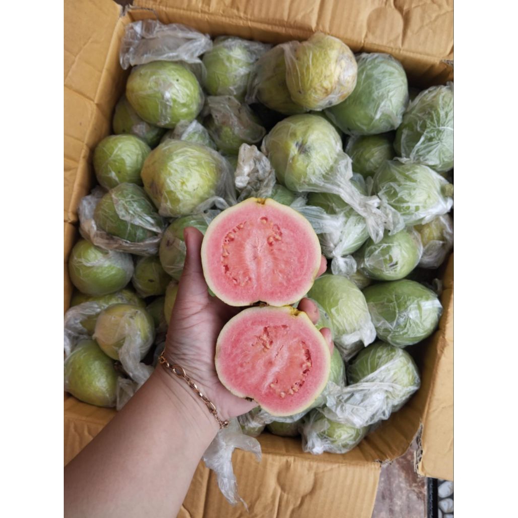 

Jambu Merah -+1kg