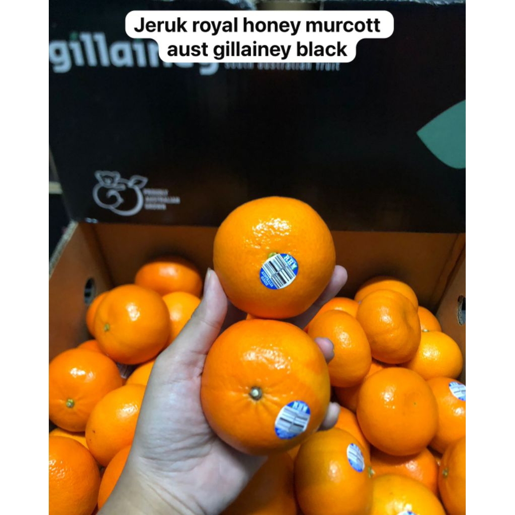 

Jeruk Royal Honey Murcott Aust Gillainey Black /kg
