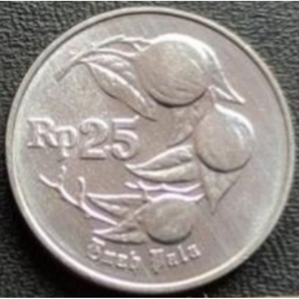 uang koin 25 rupiah pala ( tahun campur)