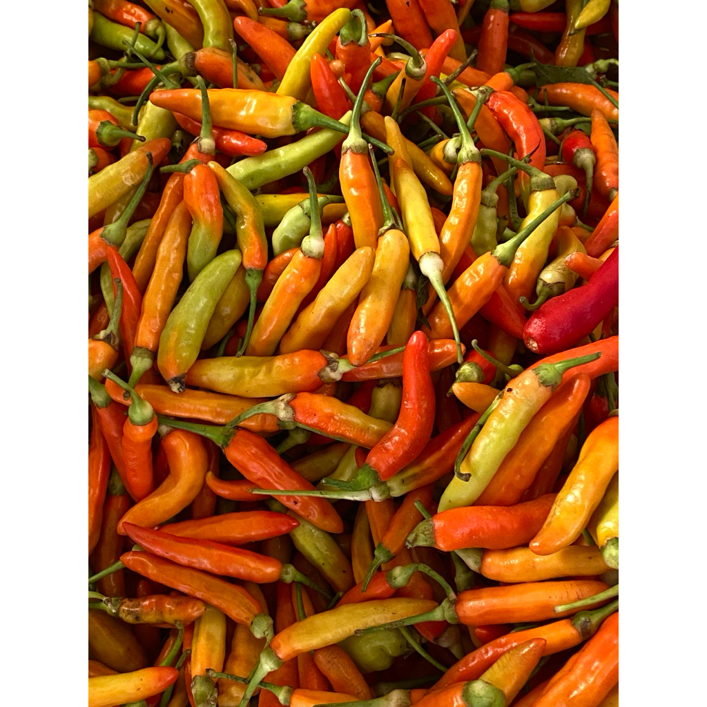 

Lombok Cabai Sret/ Rawit Segar Petik langsung kirim