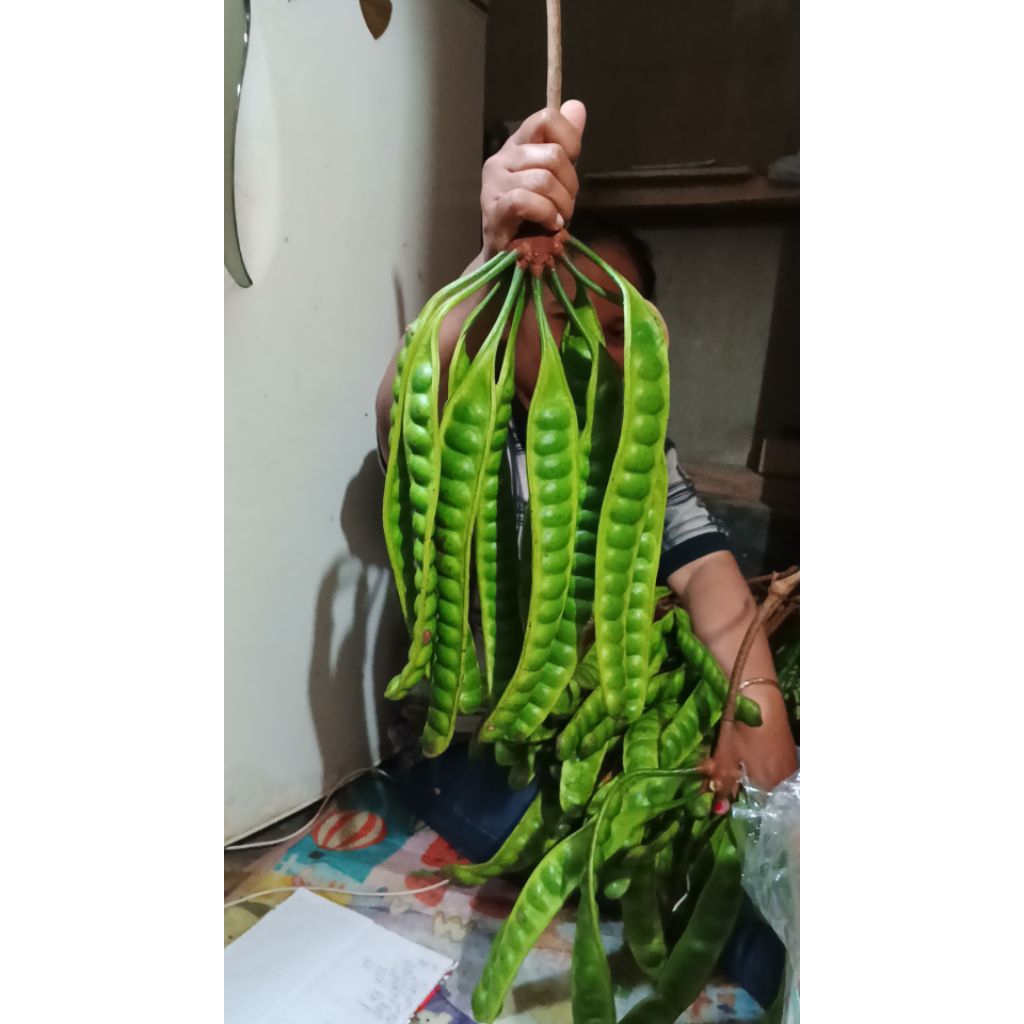 

TOKO ABDI 10 Papan Pete Tua Super PROMO