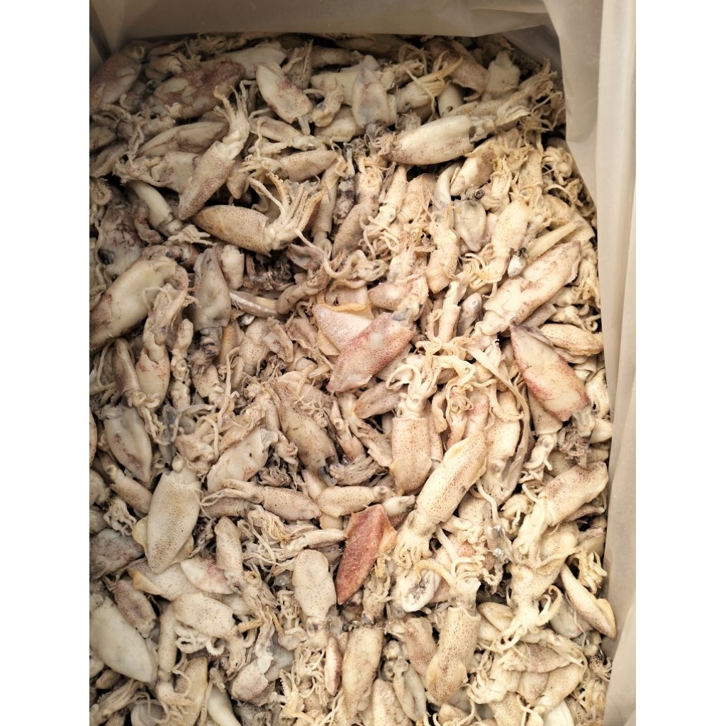 

Baby cumi mini - Cumi asin size kecil termurah kering instan Surabaya