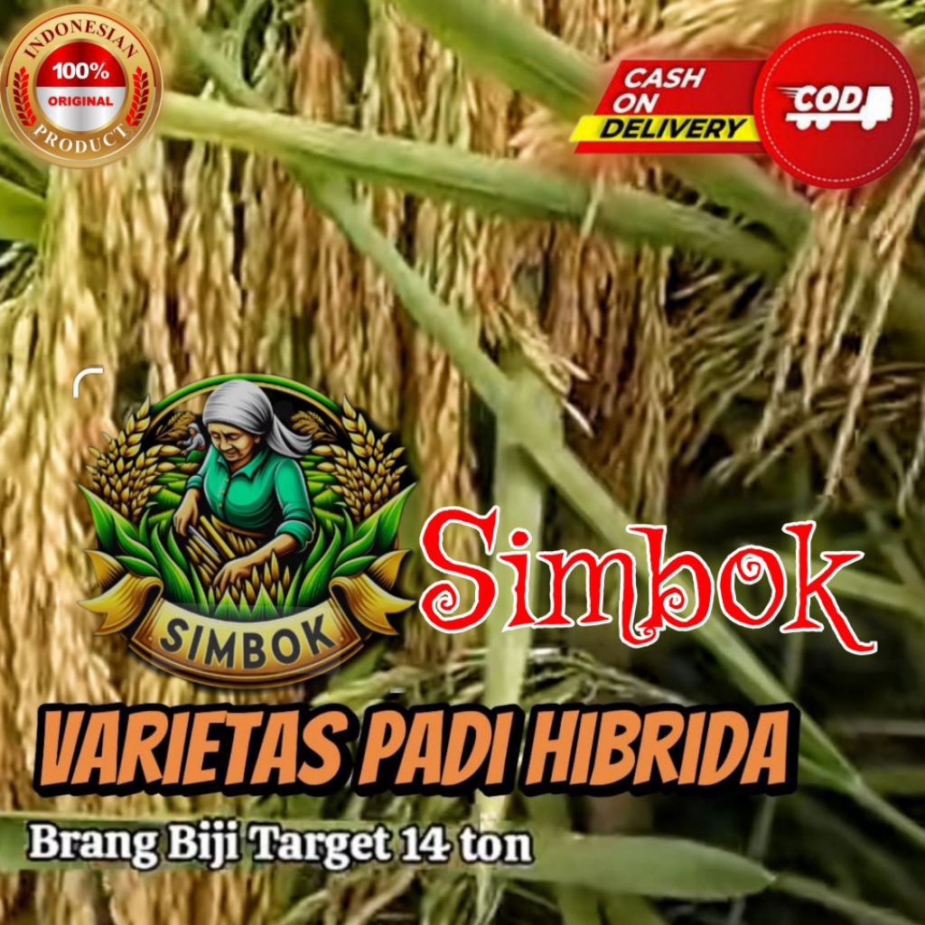 BENIH PADI ORIGINAL SIMBOK GENJAH UMUR PENDEK USIA 85-90 HST
