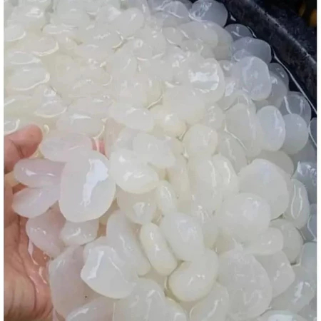 

Kolang Kaling Super 1kg - Kolang Kaling Segar