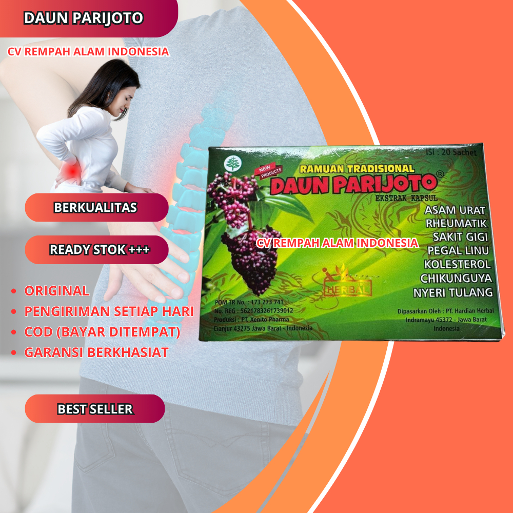 

Kapsul Asam Urat Renceng 20 Sachet Daun Parijoto Original