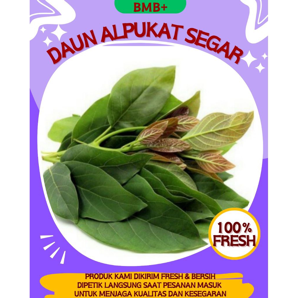

BMB+ Daun Alpukat Segar / Daun Alpukat Langsung Dipetik / Obat Tradisional / Obat Herbal Alami Berkhasiat