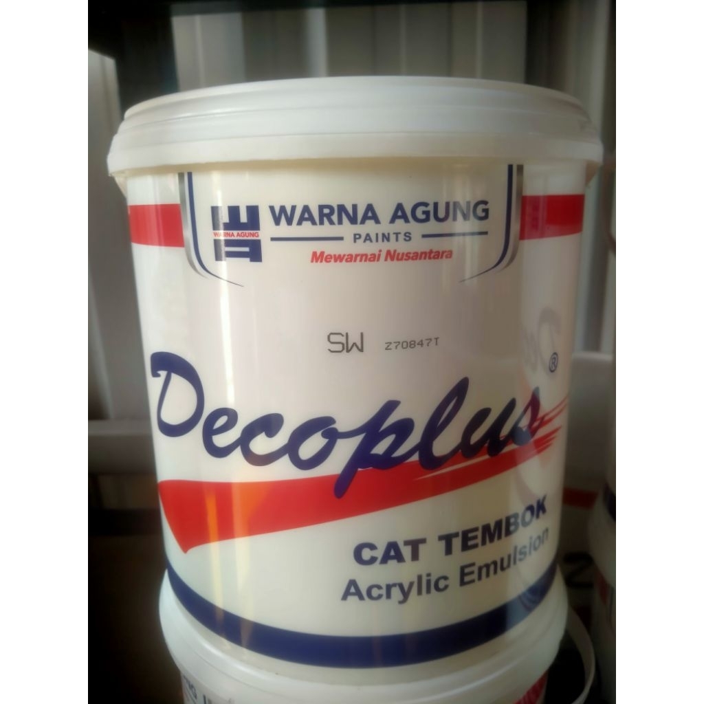 Cat Tembok Decoplus SW 5kg