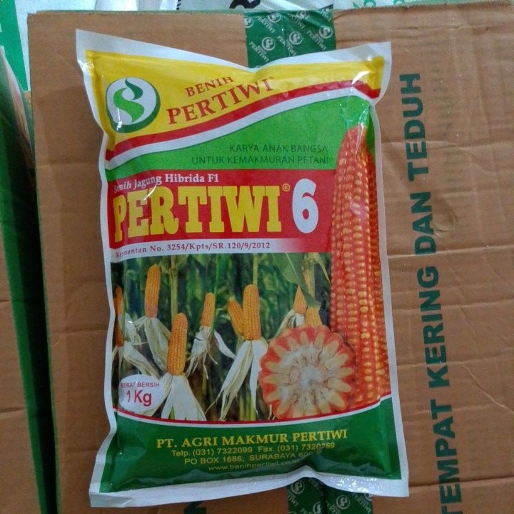 PERTIWI 6