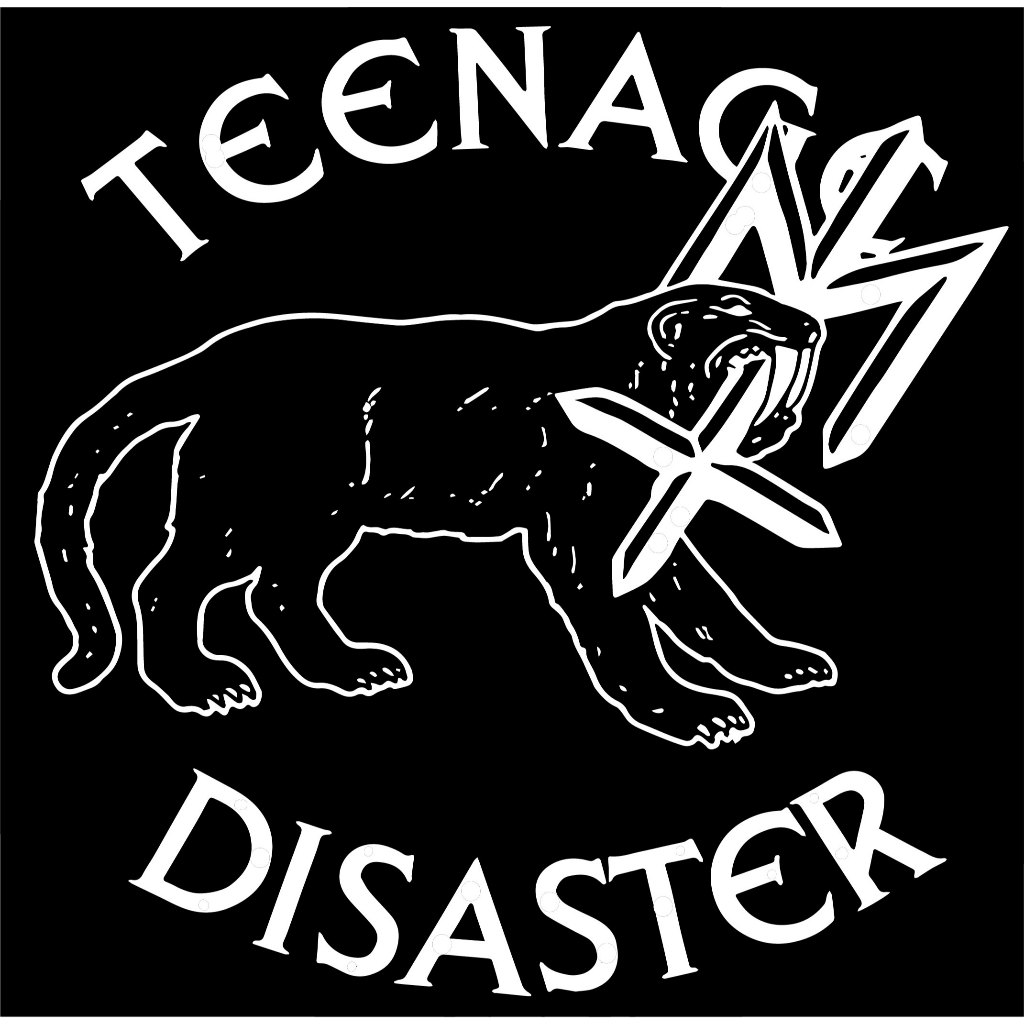 STICKER TEENAGE DEATH STAR X MATERNAL DISASTER - BAHAN GRAFTAC SP