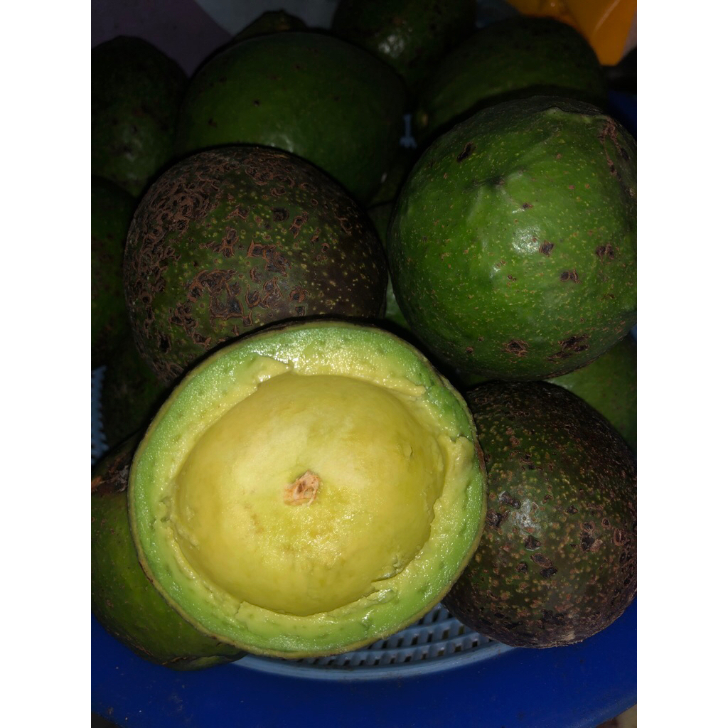 

alpukat mentega sedang