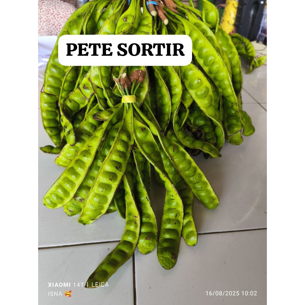 

PETE SORTIR 1 IKAT 10 PAPAN TERMURAH
