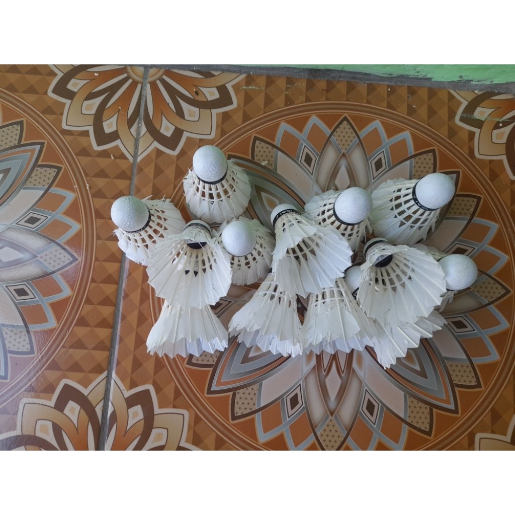 KOK BEKAS ISAI HITAM..