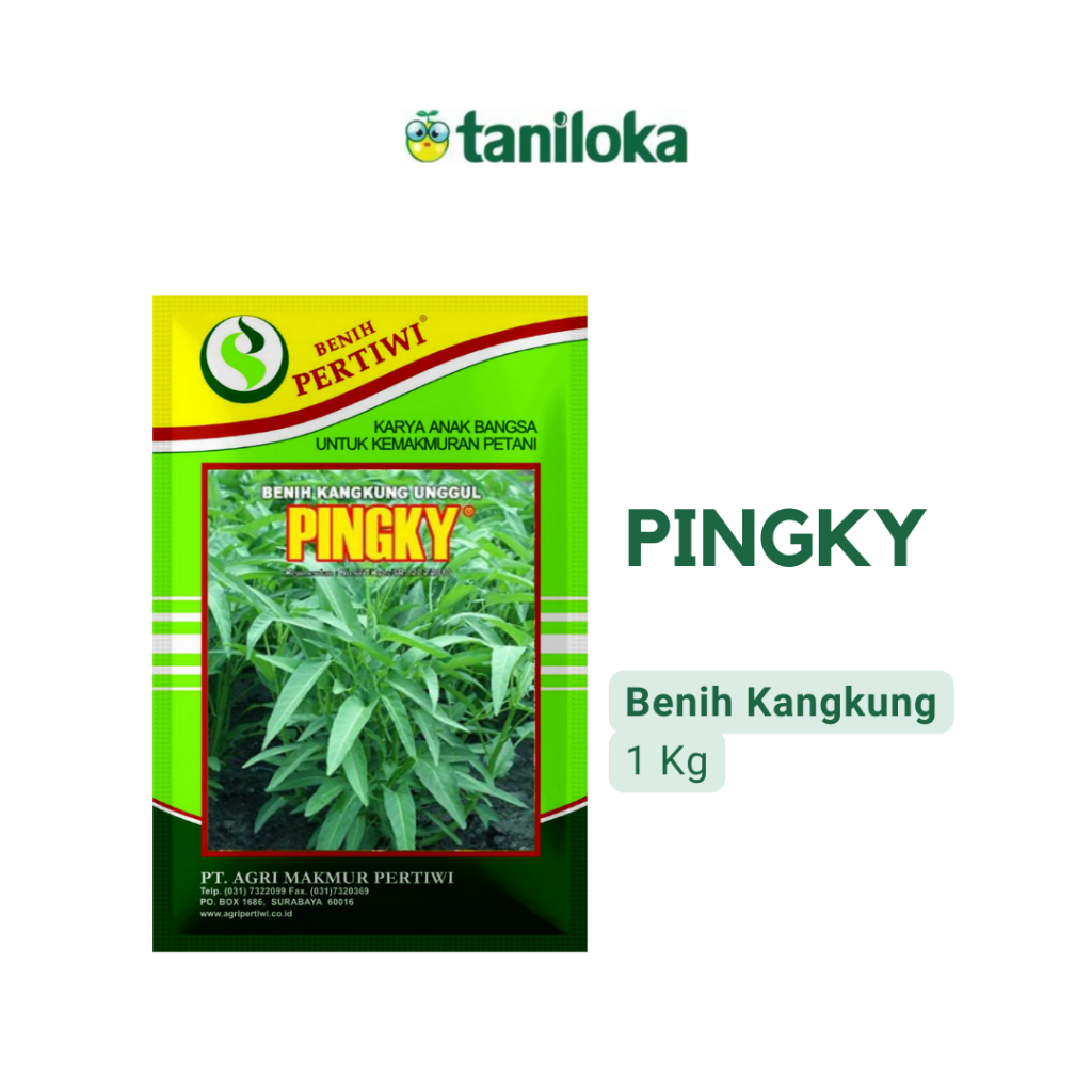 Benih Pertiwi - Benih Kangkung Pingky (1 Kg)
