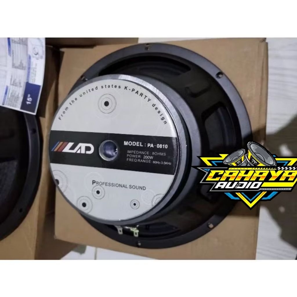 SPEAKER LAD 10 INCH 0810 Spiker Lad 0810 midle