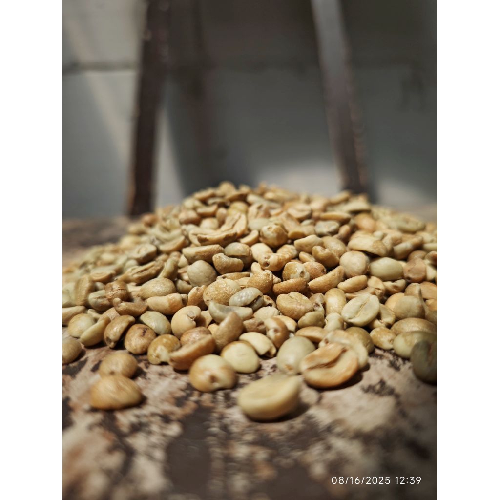 

Green Bean Arabica Megasari Tutti Frutti 1KG