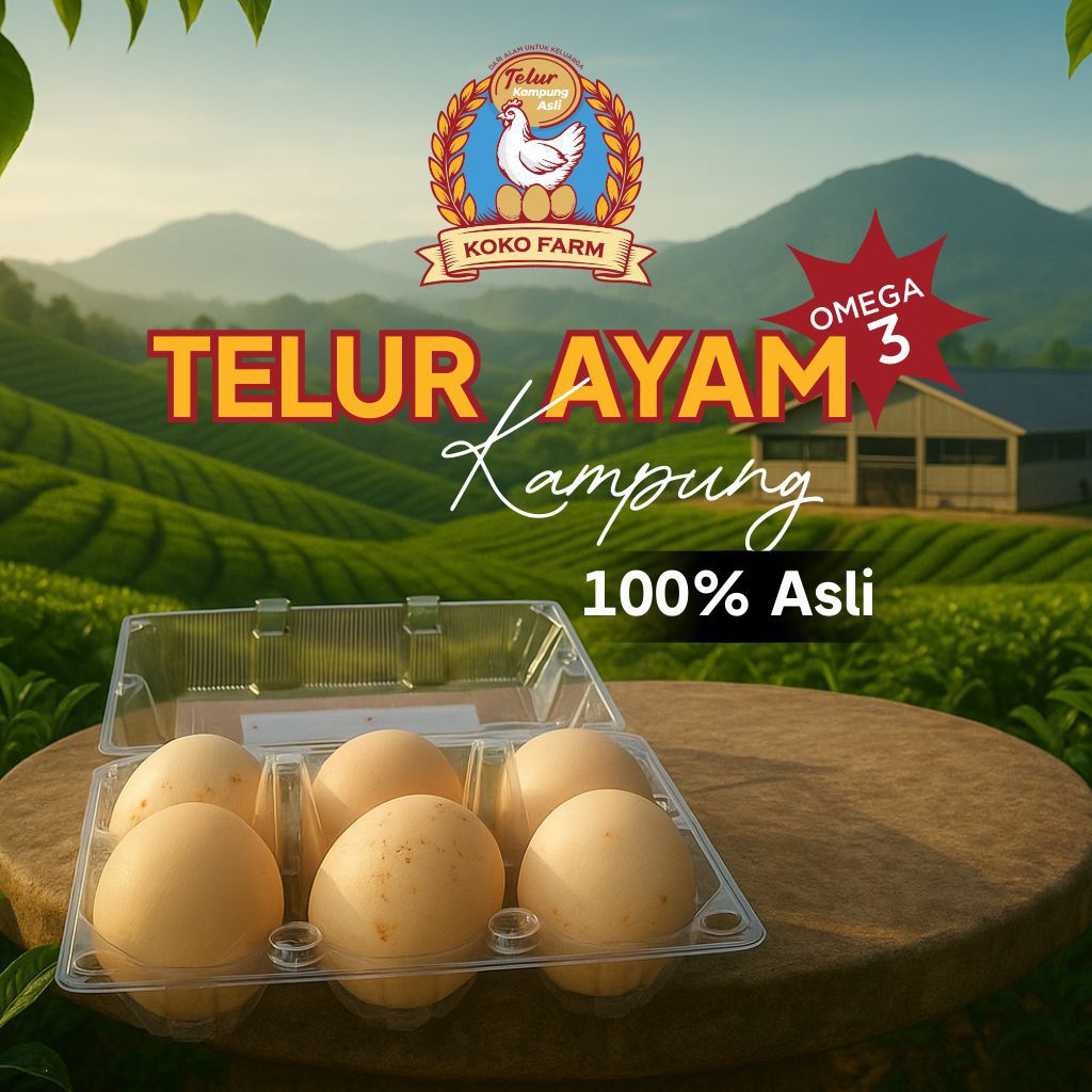 

TELUR AYAM KAMPUNG 100%ASLI FRESH OMEGA 3