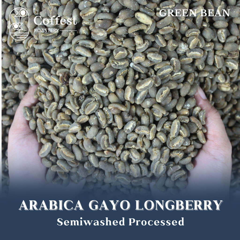 

Green Bean Arabika Gayo Longberry - Grade 1 - Semiwashed Processed