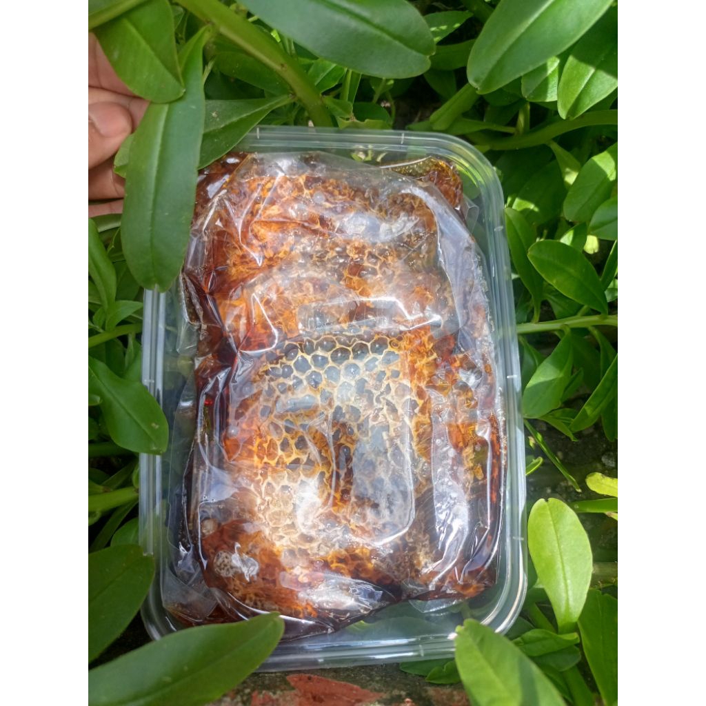

Madu Sarang Akasia 500 gram Asli - 100 % Alami dan Berkualitas