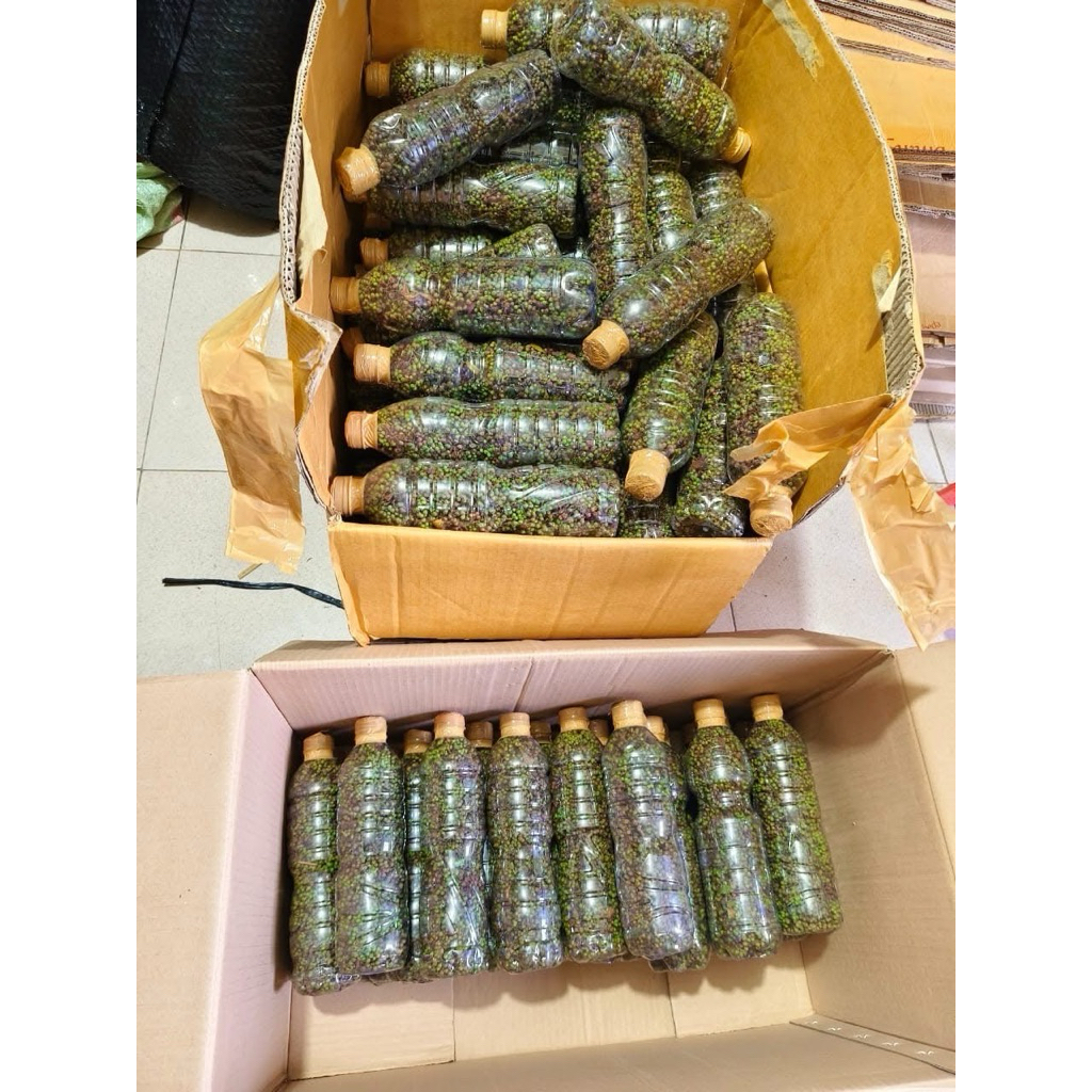 

Andaliman Parsoboruan 250gr