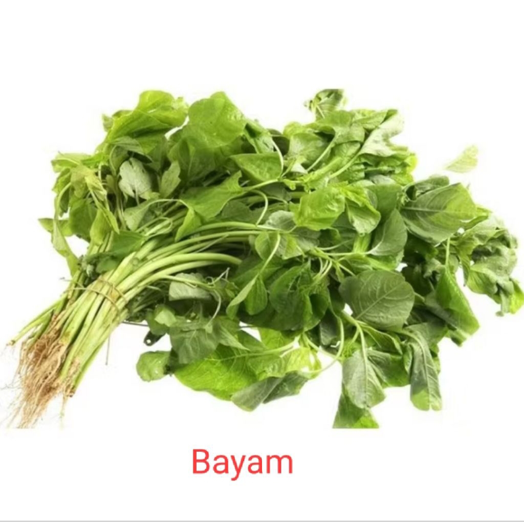 

SAYUR BAYAM PER IKAT, SAYURAN BAYAR, BAYAM SAYUR