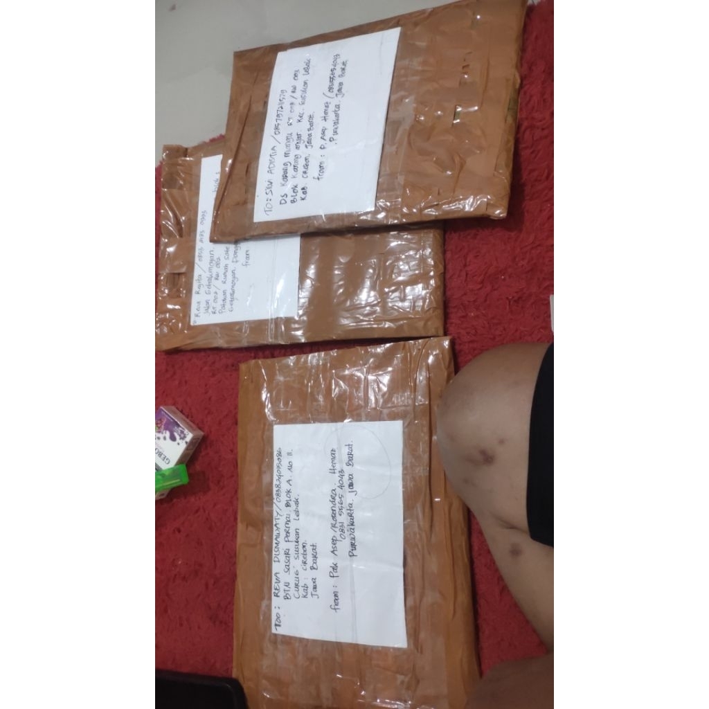 

blangko asli intan parwati