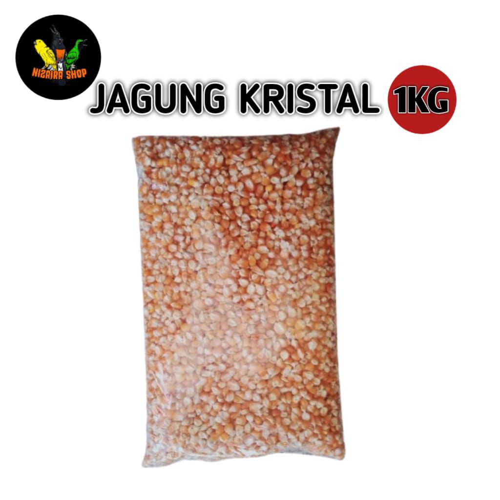 JAGUNG KRISTAL PROBOLINGGO 1kg pakan hewan peliharaan