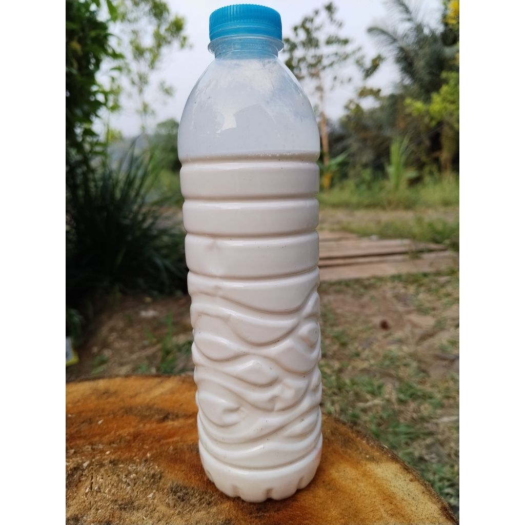 Lem Getah Karet cair Super lengkot/lem pulut burung/perekat busa kasur isi 600mil