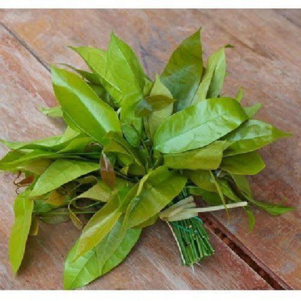 

daun melinjo sayur segar 1kg