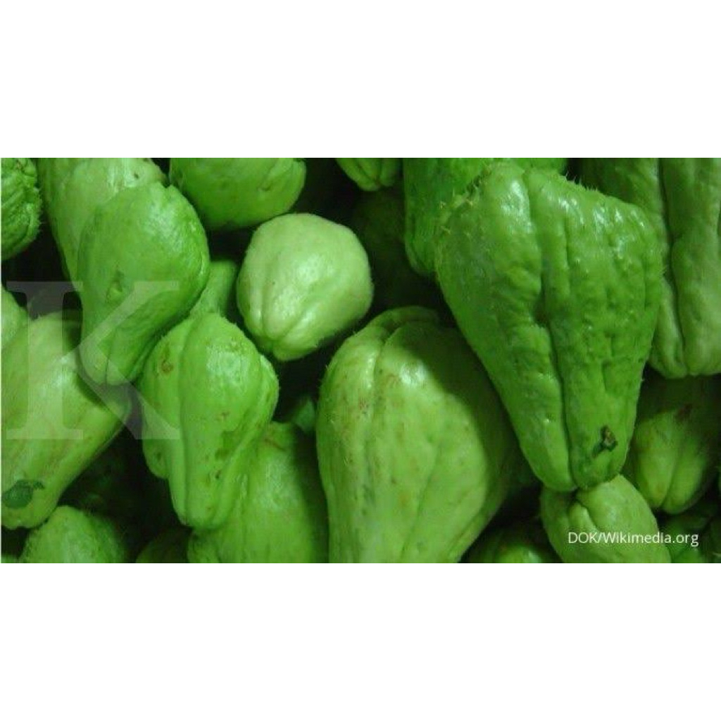 

Labu Siam Untuk Sayur fressh Termurah 1kg