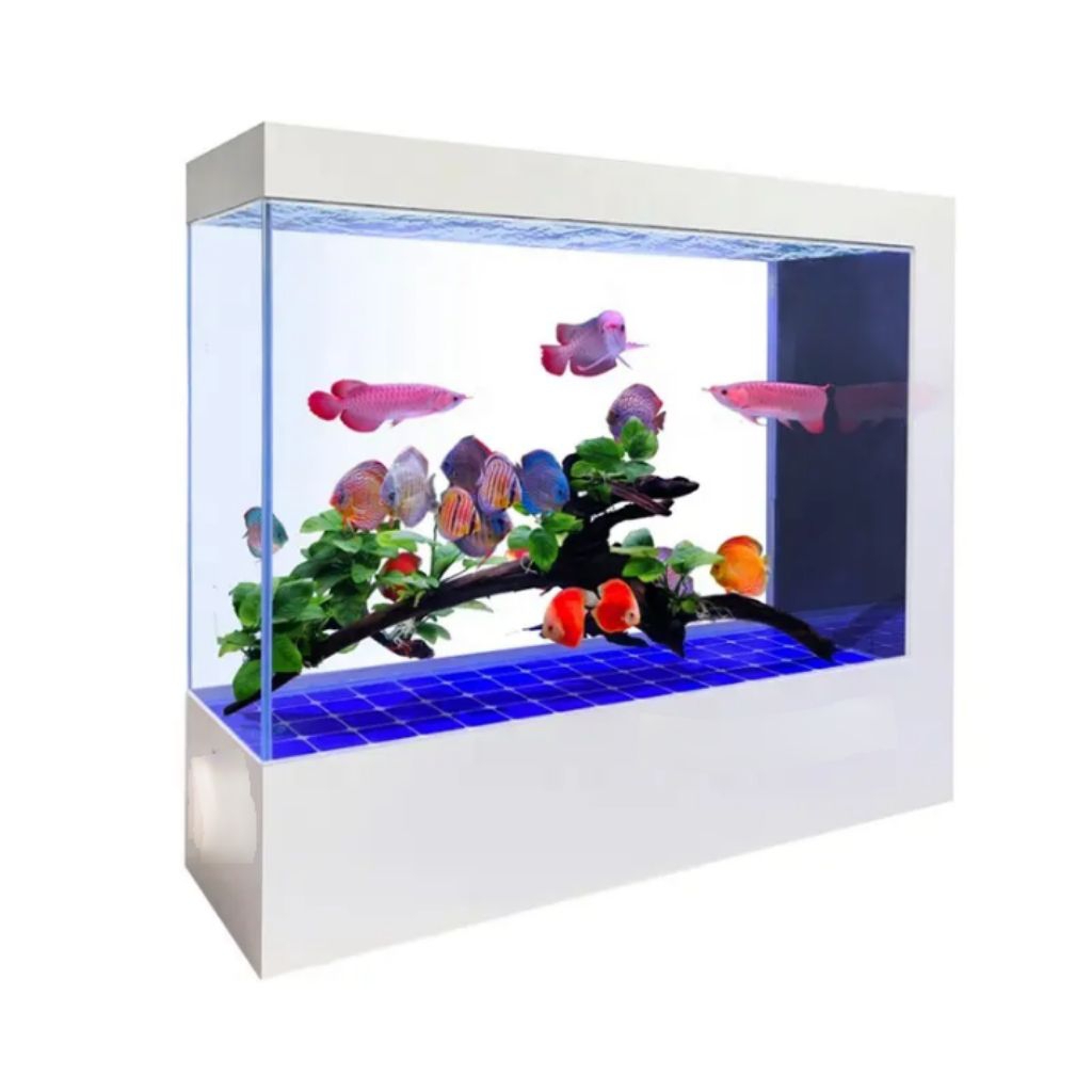 Aquarium Ikan Arwana Akrilik