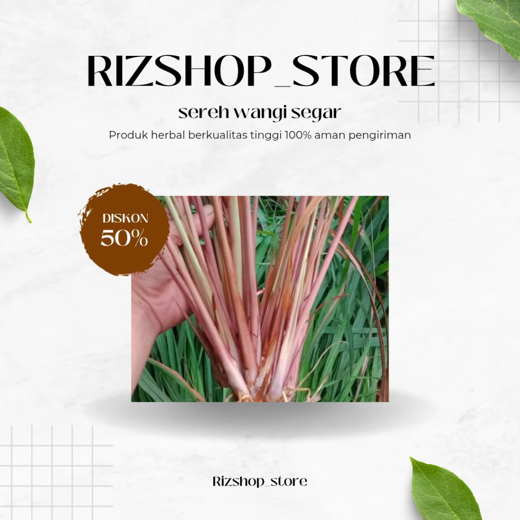 

sereh wangi/sereh merah segar fresh 1 kg