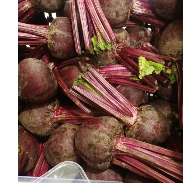 

buah bit beet root 1kg segar