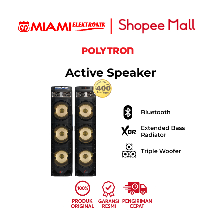 POLYTRON PAS-10DF38 / PAS10DF38 SPEAKER AKTIF