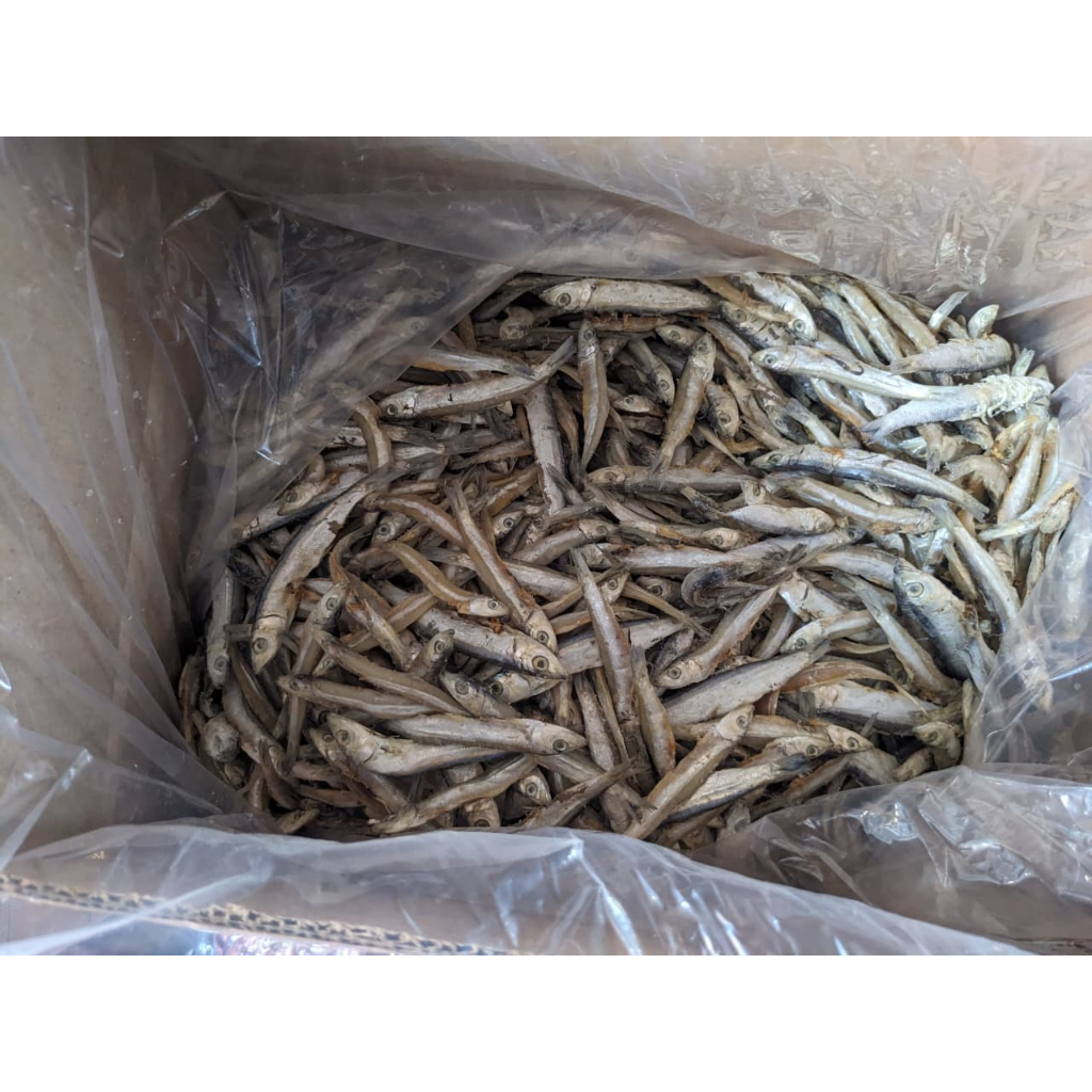 

IKAN ASIN JAPUH GURIH KERING