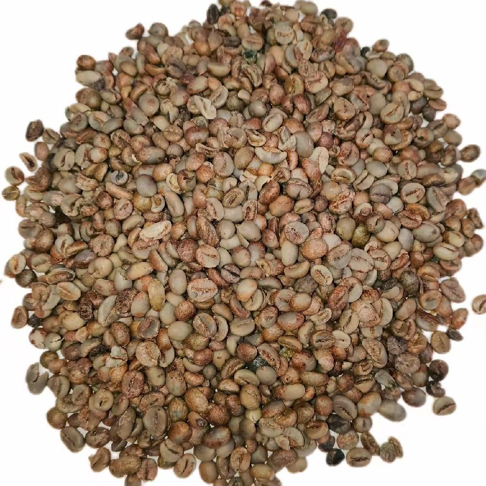 Biji Kopi Mentah Kopi Robusta Asal Lampung Kemasan 1kg