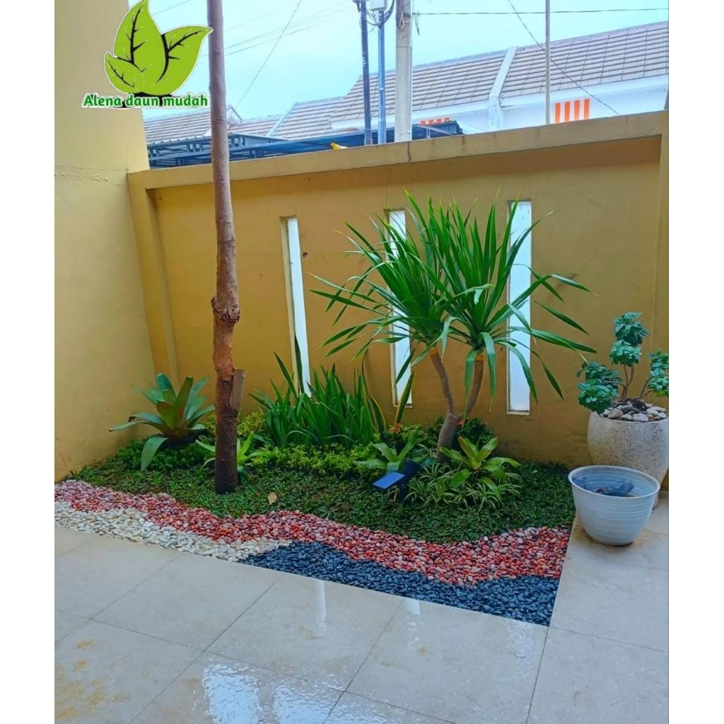 Taman kering minimalis / taman halaman depan rumah