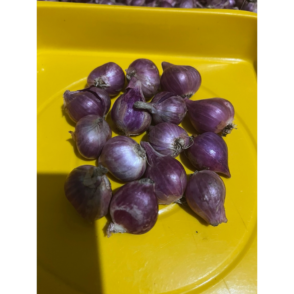 

Bawang Merah Lokal Nganjuk Berkualitas size Besar kemasan 500gr