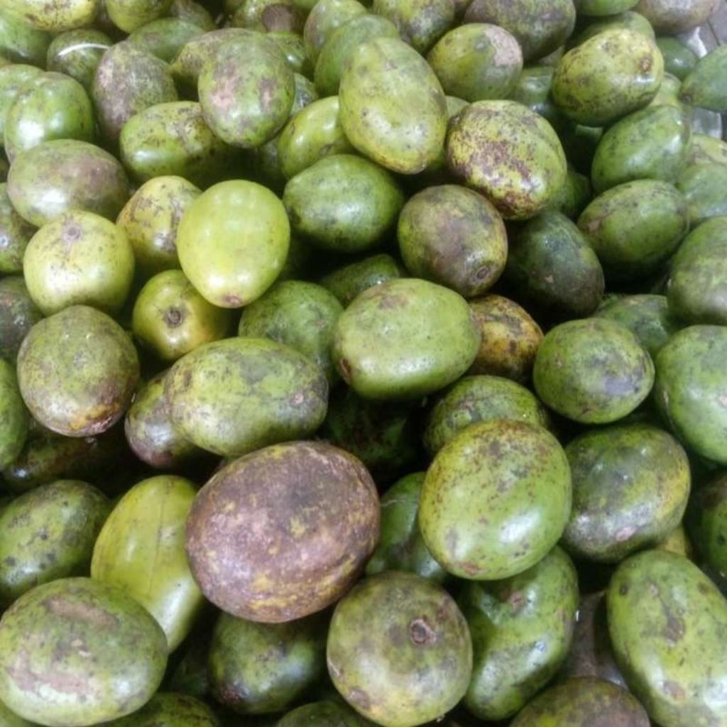 

kedondong bangkok 1kg sudah free bumbu bangkok