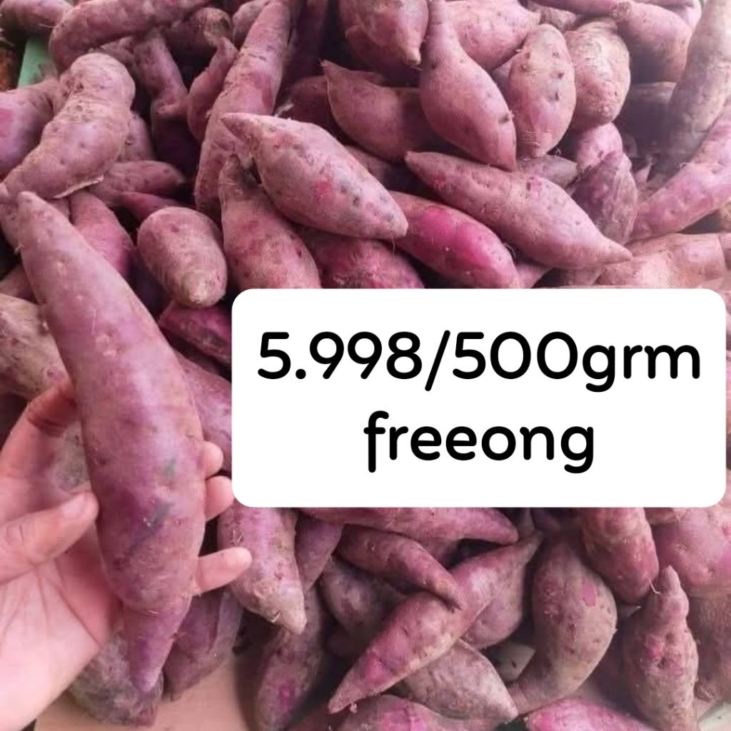 

Standart 500 gram Ubi Ungu Super untuk kesehatan dan kecantikan dengan antioksidan tinggi