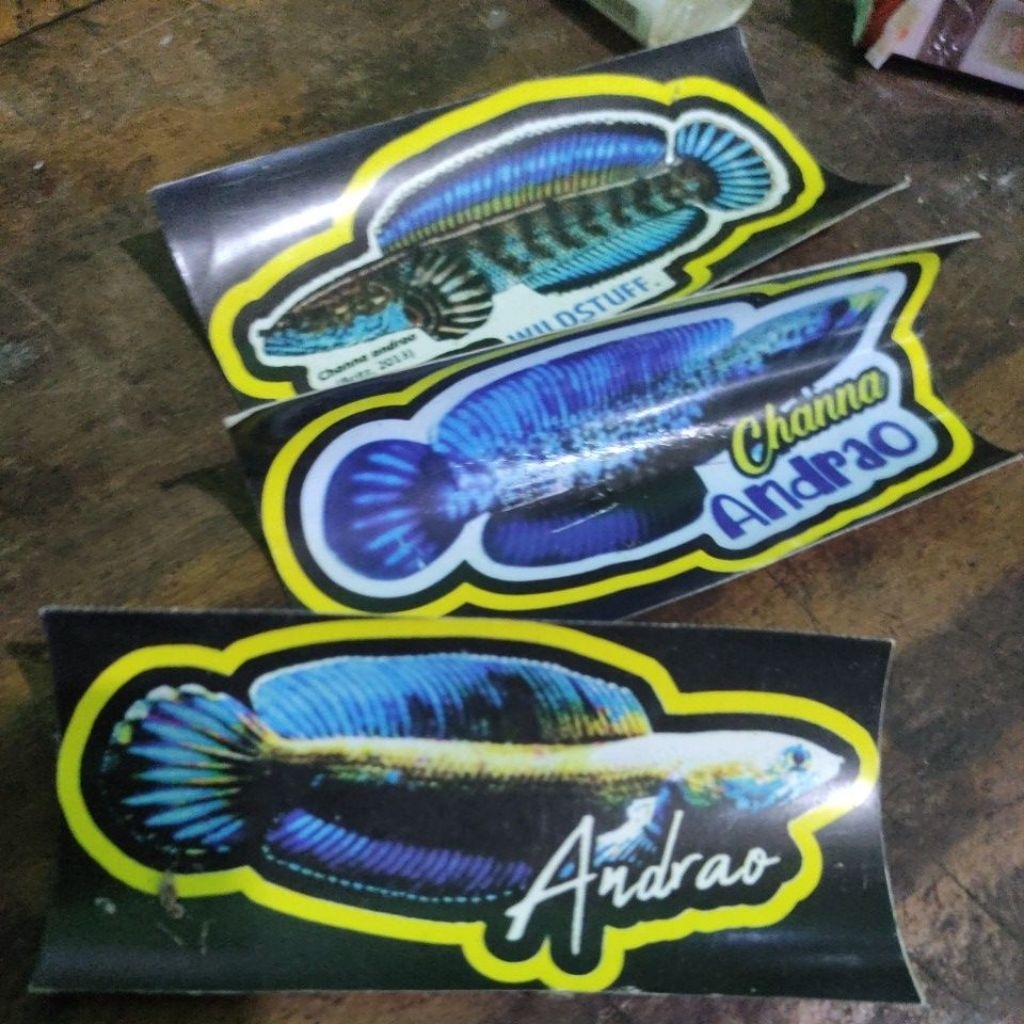 

stiker " LIMBATA" TERBAIK