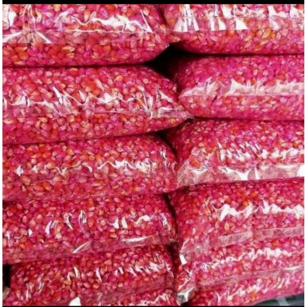 1Kg Benih Bibit jagung unyil super / jagung kristal