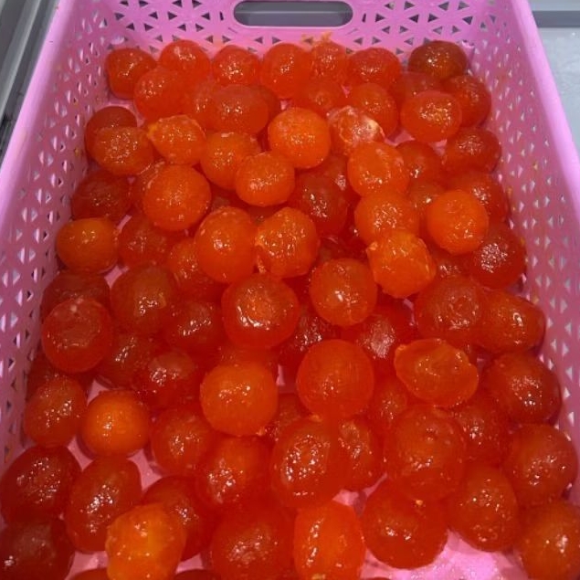 Cenil cendil bebek umpan gacor galatama lele dan bawal