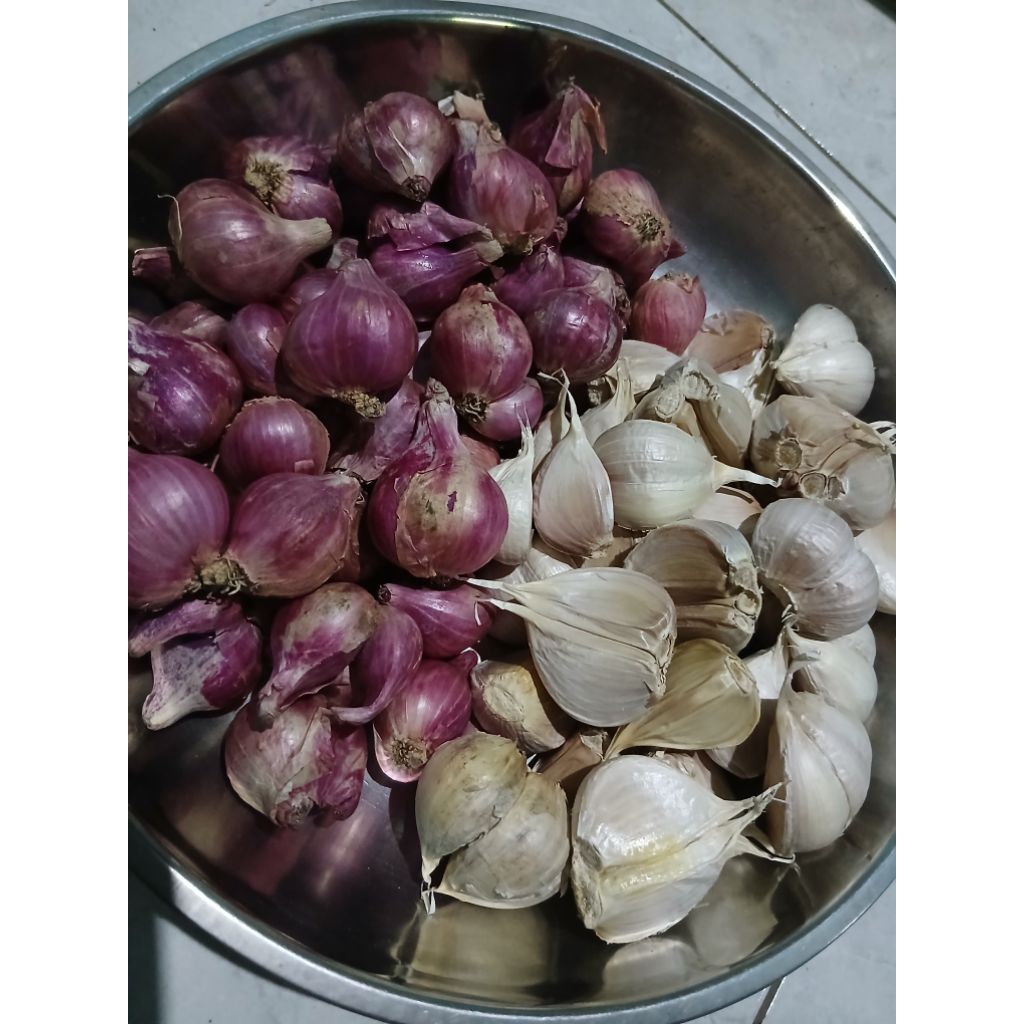 

PAKET MIX BAMER DAN BAPUT