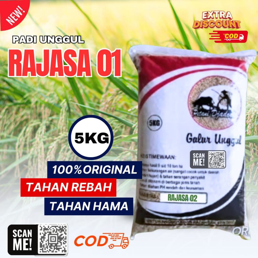 benih padi Rajasa 01 kemasan 5kg original