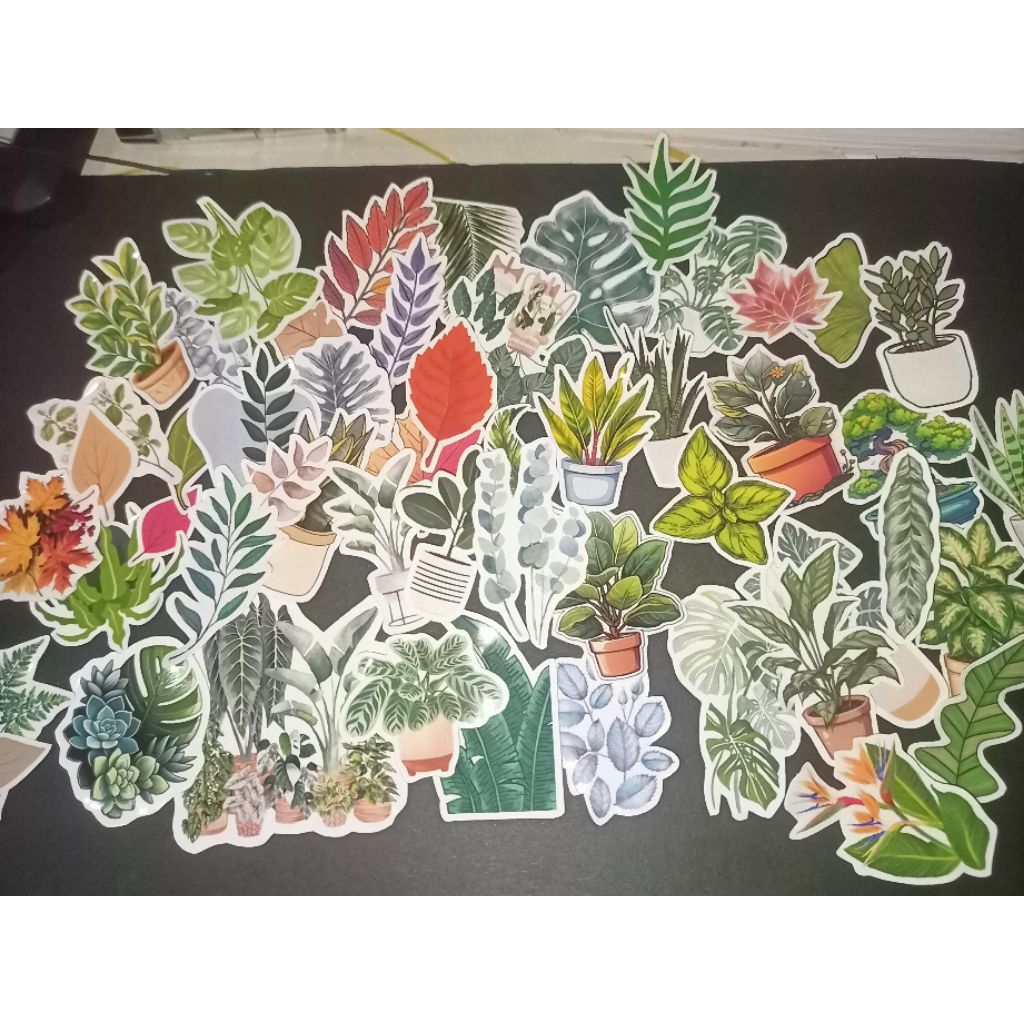 

[53 BIJI] STIKER MOTIF DEDAUNAN + BOX ESTETIK | AESTHETIC STICKER LEAF MODE | SUDAH CUTTING | GLOSSY | JOURNALING | SCRAPBOOK | LUCU | MENARIK / STIKER BUKU