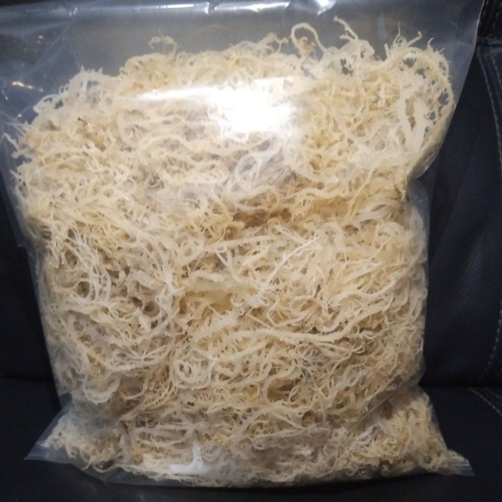 

rumput laut spinusom kering kenyal