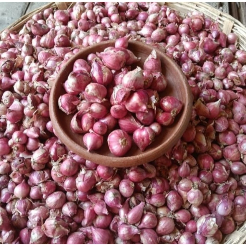 

BAWANG MERAH PROBOLINGGO KECIL SEDANG 250 GRAM