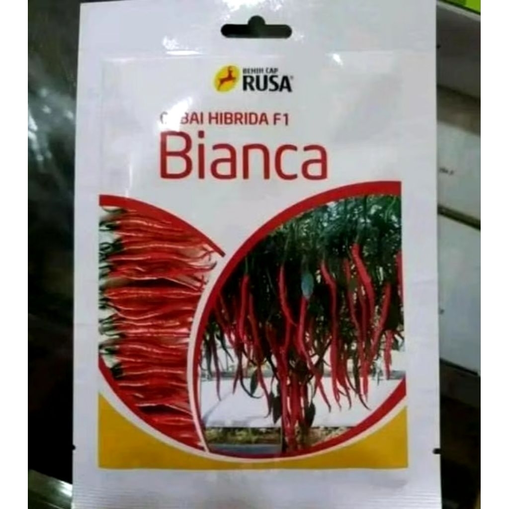 Bianca F1 (benih cabe keriting original F1) 10 gr