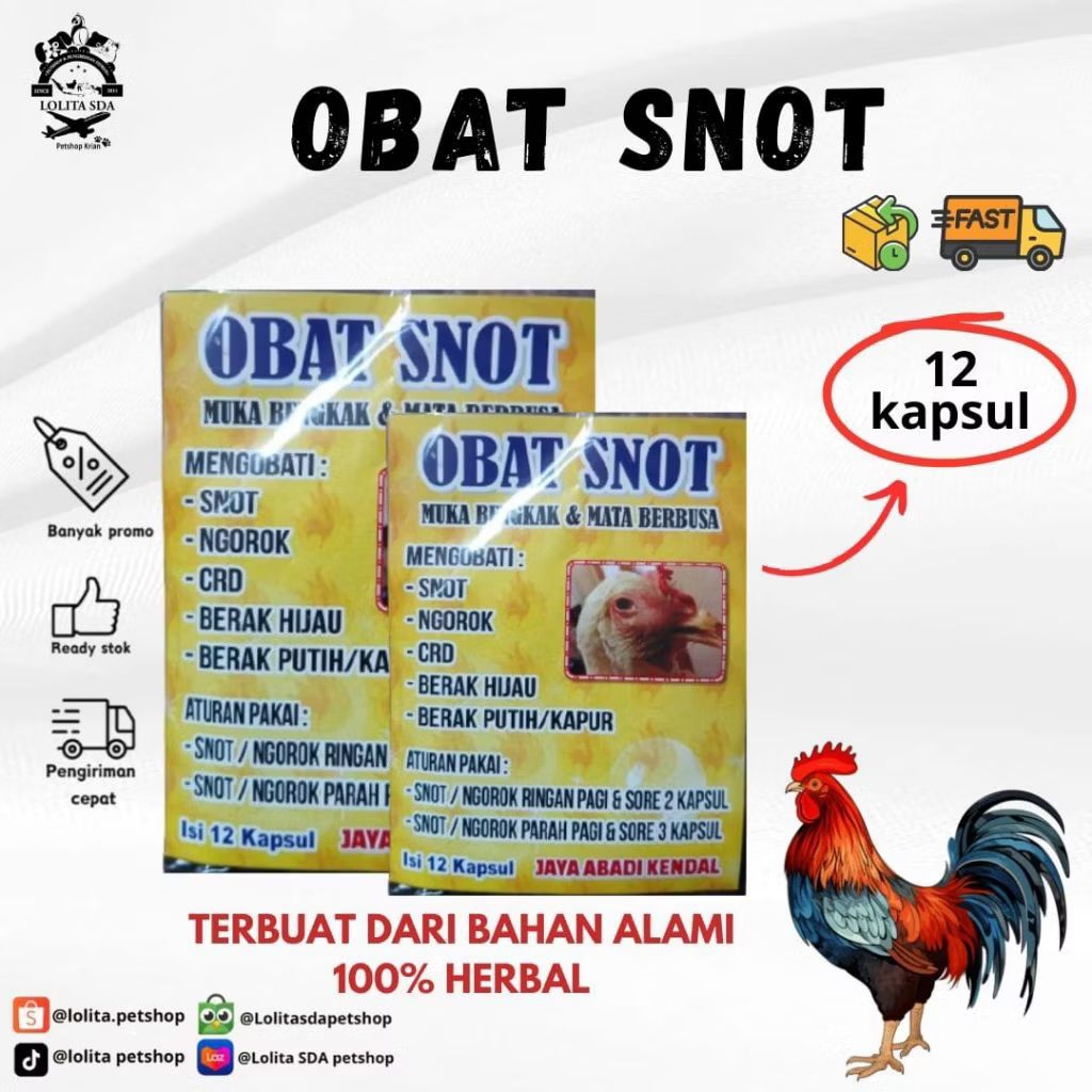 Obat snot muka bengkak dan mata berbusa untuk ayam