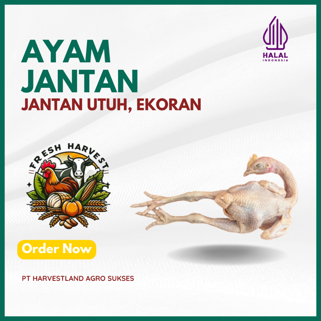 

Ayam Jantan / Pejantan / Blaster / Ayam Kalasan (FRESH & FROZEN) HARVESTLAND